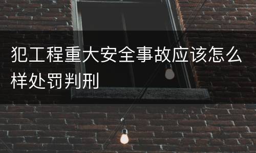 犯工程重大安全事故应该怎么样处罚判刑
