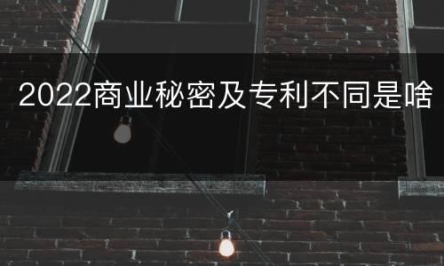 2022商业秘密及专利不同是啥