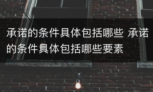 承诺的条件具体包括哪些 承诺的条件具体包括哪些要素