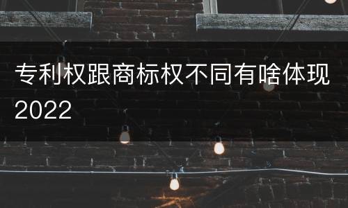 专利权跟商标权不同有啥体现2022