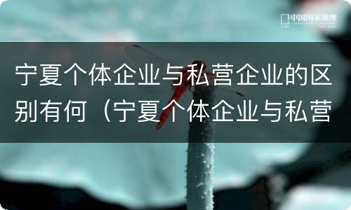 宁夏个体企业与私营企业的区别有何（宁夏个体企业与私营企业的区别有何意义）