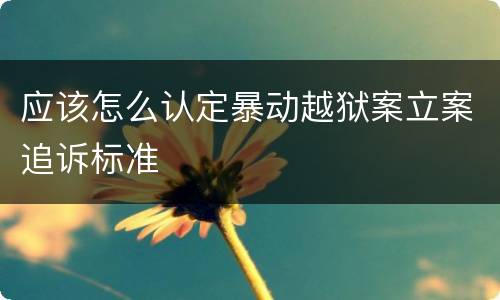 应该怎么认定暴动越狱案立案追诉标准