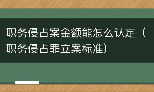 职务侵占案金额能怎么认定（职务侵占罪立案标准）