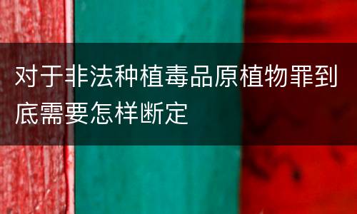 对于非法种植毒品原植物罪到底需要怎样断定