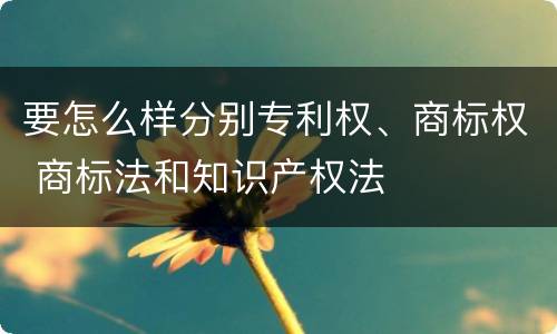 要怎么样分别专利权、商标权 商标法和知识产权法