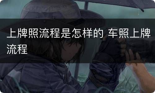 上牌照流程是怎样的 车照上牌流程