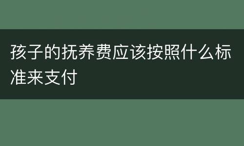 孩子的抚养费应该按照什么标准来支付