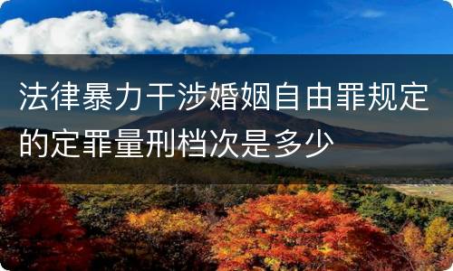 法律暴力干涉婚姻自由罪规定的定罪量刑档次是多少