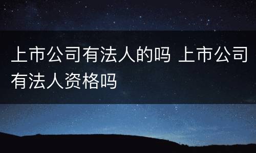 上市公司有法人的吗 上市公司有法人资格吗