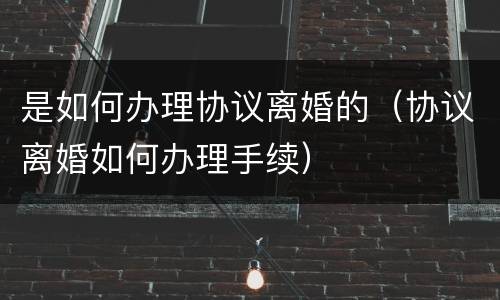 是如何办理协议离婚的（协议离婚如何办理手续）