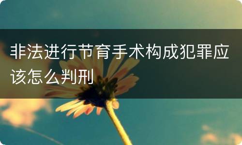 非法进行节育手术构成犯罪应该怎么判刑