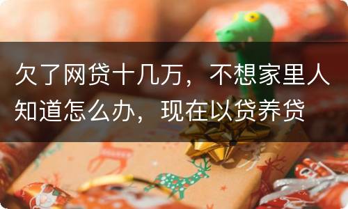 欠了网贷十几万，不想家里人知道怎么办，现在以贷养贷
