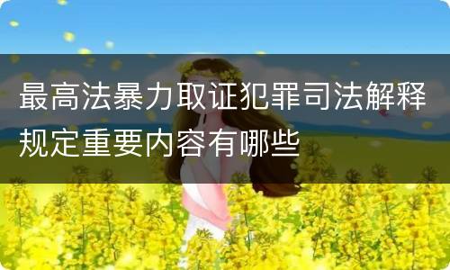 最高法暴力取证犯罪司法解释规定重要内容有哪些