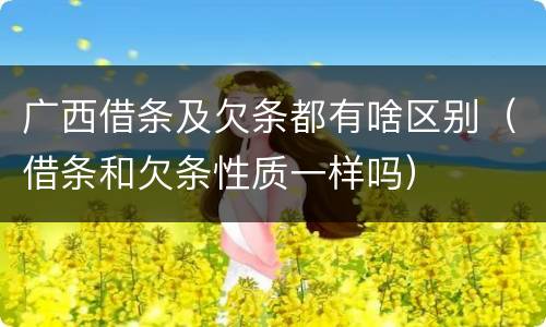 广西借条及欠条都有啥区别（借条和欠条性质一样吗）