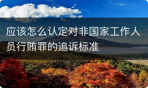 应该怎么认定对非国家工作人员行贿罪的追诉标准
