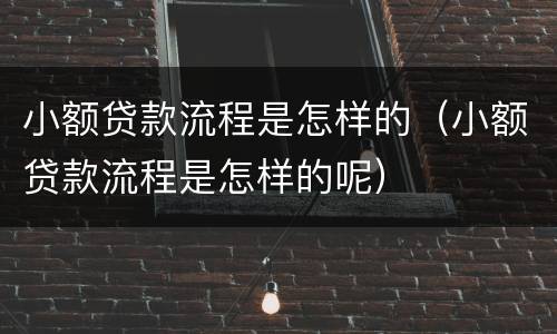 小额贷款流程是怎样的（小额贷款流程是怎样的呢）