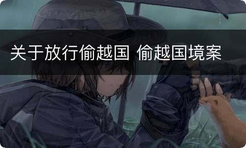 关于放行偷越国 偷越国境案