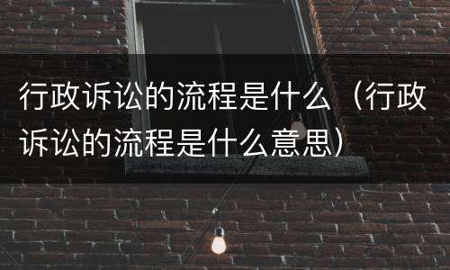 行政诉讼的流程是什么（行政诉讼的流程是什么意思）