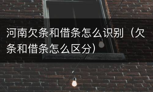 河南欠条和借条怎么识别（欠条和借条怎么区分）