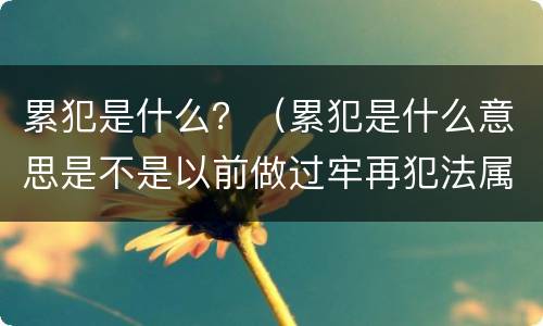 累犯是什么？（累犯是什么意思是不是以前做过牢再犯法属累犯）