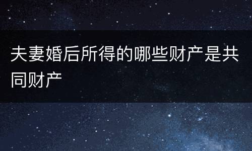 夫妻婚后所得的哪些财产是共同财产