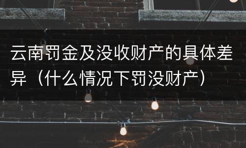 云南罚金及没收财产的具体差异（什么情况下罚没财产）