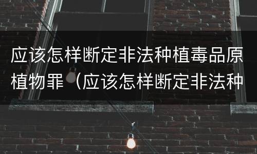 应该怎样断定非法种植毒品原植物罪（应该怎样断定非法种植毒品原植物罪名）