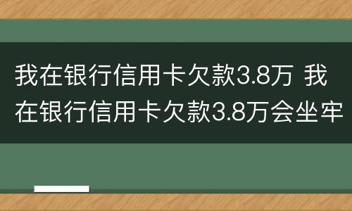 我在银行信用卡欠款3.8万 我在银行信用卡欠款3.8万会坐牢吗