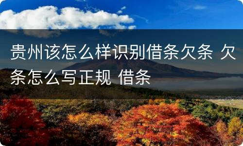 贵州该怎么样识别借条欠条 欠条怎么写正规 借条