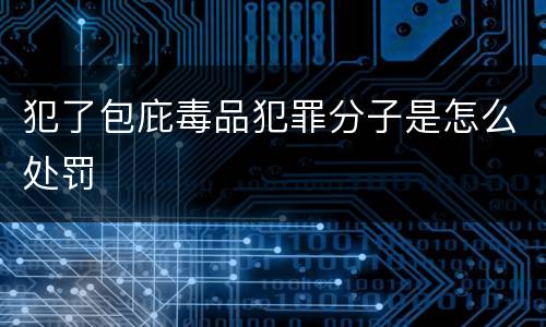 犯了包庇毒品犯罪分子是怎么处罚