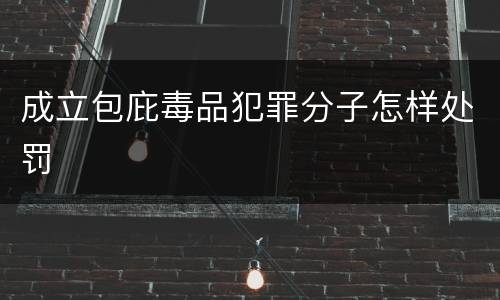 成立包庇毒品犯罪分子怎样处罚