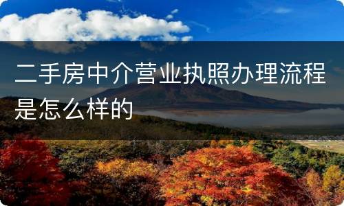 二手房中介营业执照办理流程是怎么样的