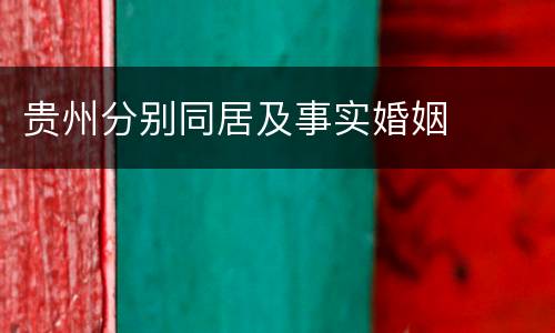 贵州分别同居及事实婚姻