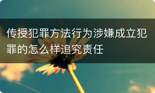 传授犯罪方法行为涉嫌成立犯罪的怎么样追究责任