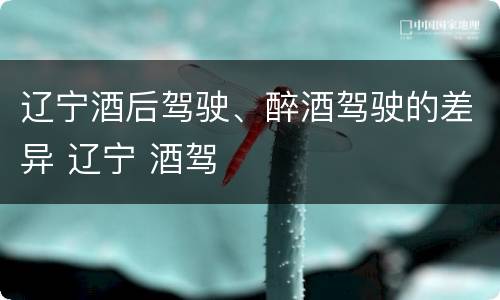 辽宁酒后驾驶、醉酒驾驶的差异 辽宁 酒驾