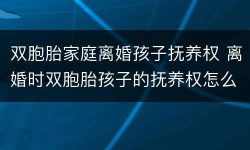 双胞胎家庭离婚孩子抚养权 离婚时双胞胎孩子的抚养权怎么判