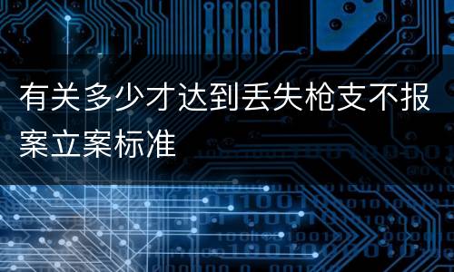 有关多少才达到丢失枪支不报案立案标准