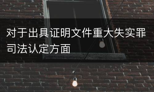 对于出具证明文件重大失实罪司法认定方面