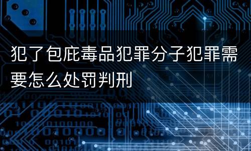 犯了包庇毒品犯罪分子犯罪需要怎么处罚判刑