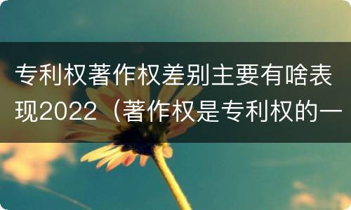 专利权著作权差别主要有啥表现2022（著作权是专利权的一种吗）