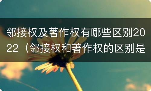 邻接权及著作权有哪些区别2022（邻接权和著作权的区别是什么?）