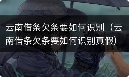 云南借条欠条要如何识别（云南借条欠条要如何识别真假）