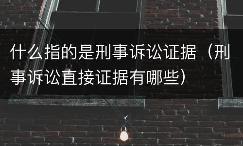 什么指的是刑事诉讼证据（刑事诉讼直接证据有哪些）