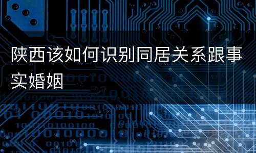 陕西该如何识别同居关系跟事实婚姻