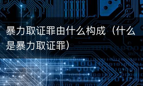 暴力取证罪由什么构成（什么是暴力取证罪）