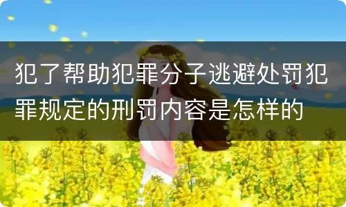 犯了帮助犯罪分子逃避处罚犯罪规定的刑罚内容是怎样的