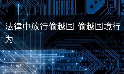 法律中放行偷越国 偷越国境行为