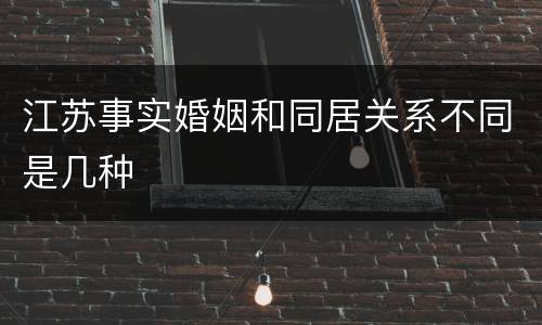 江苏事实婚姻和同居关系不同是几种