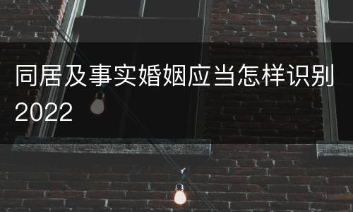 同居及事实婚姻应当怎样识别2022