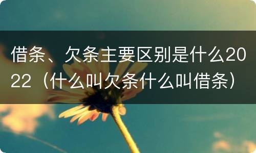 借条、欠条主要区别是什么2022（什么叫欠条什么叫借条）